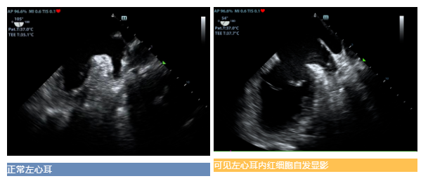 微信截图_20220526144425.png